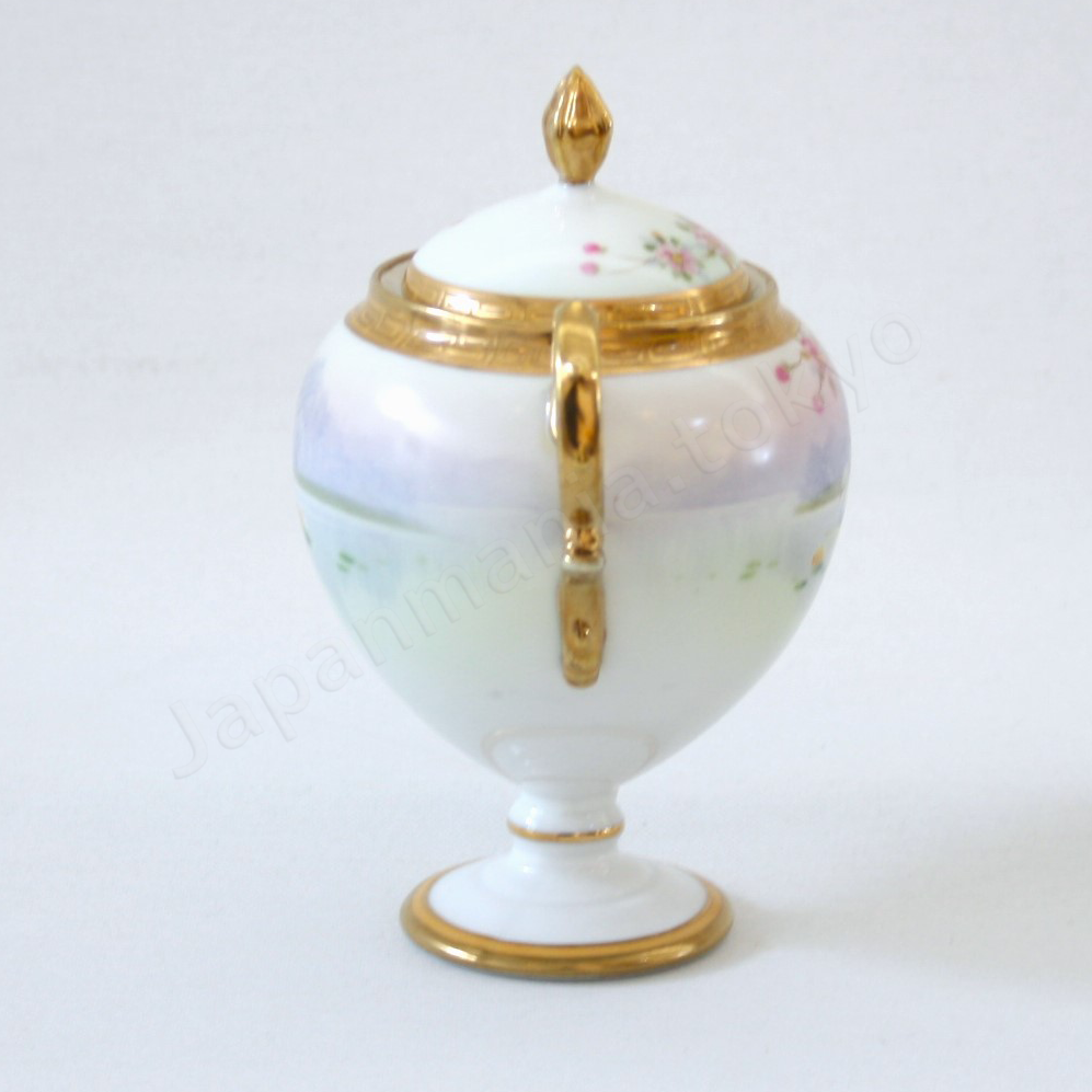 Side view: Japanese Antique fine china. Old Noritake.
Tea set
Swan and landscape design
Polychrome and gold
