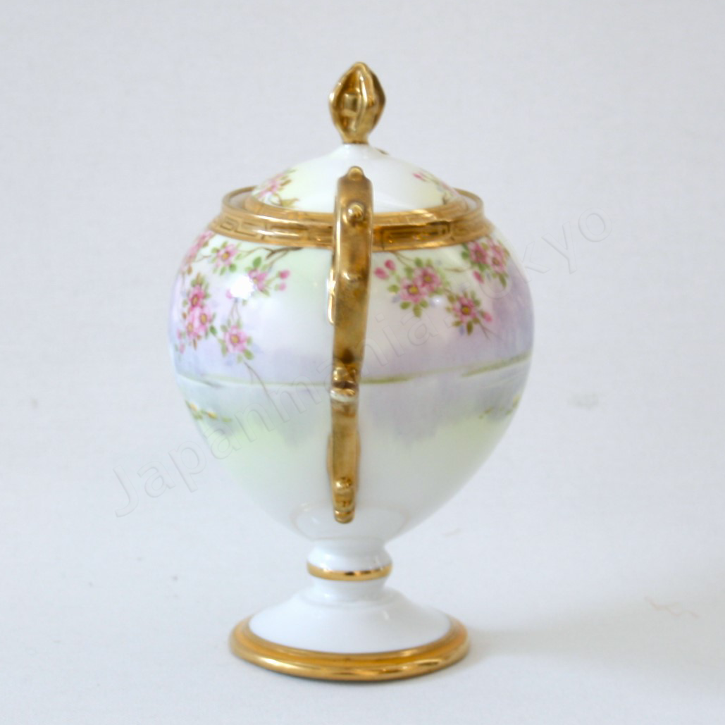 Side view: Japanese Antique fine china. Old Noritake.
Tea set
Swan and landscape design
Polychrome and gold