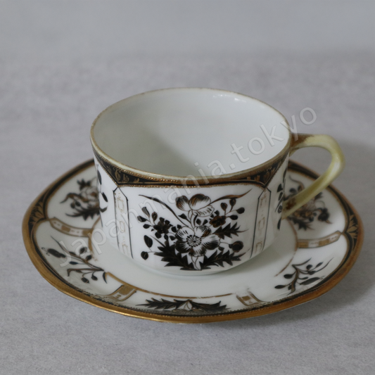 Old Noritake SC-950 Cup & saucer