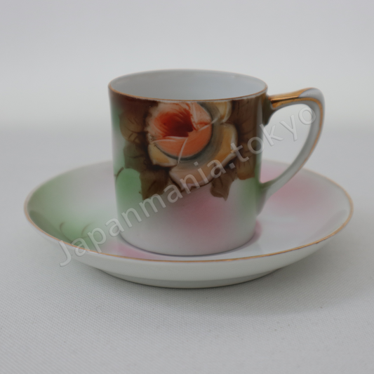 Old Noritake SC-1094 Cup & saucer