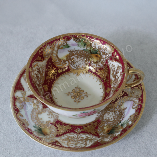 Old Noritake SC-1273 Cup & saucer