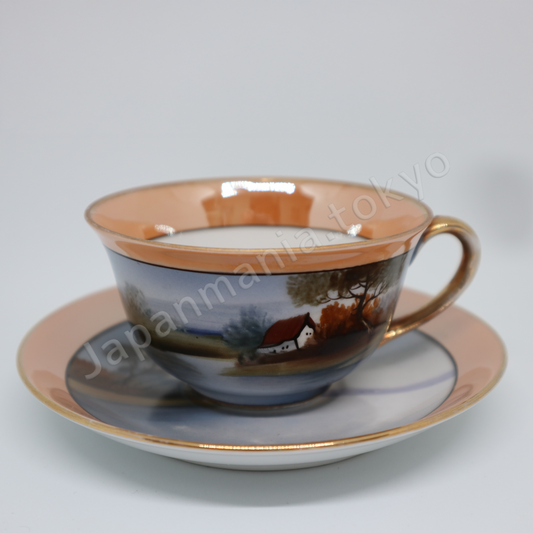 Old Noritake SC-1324